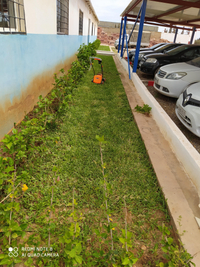تنظيف-و-بستنة-amenagement-despaces-verts-et-jardinage-وهران-الجزائر