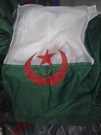 حياكة-و-خياطة-العلم-الوطني-drapeau-national-خميس-مليانة-عين-الدفلى-الجزائر