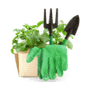 بستنة