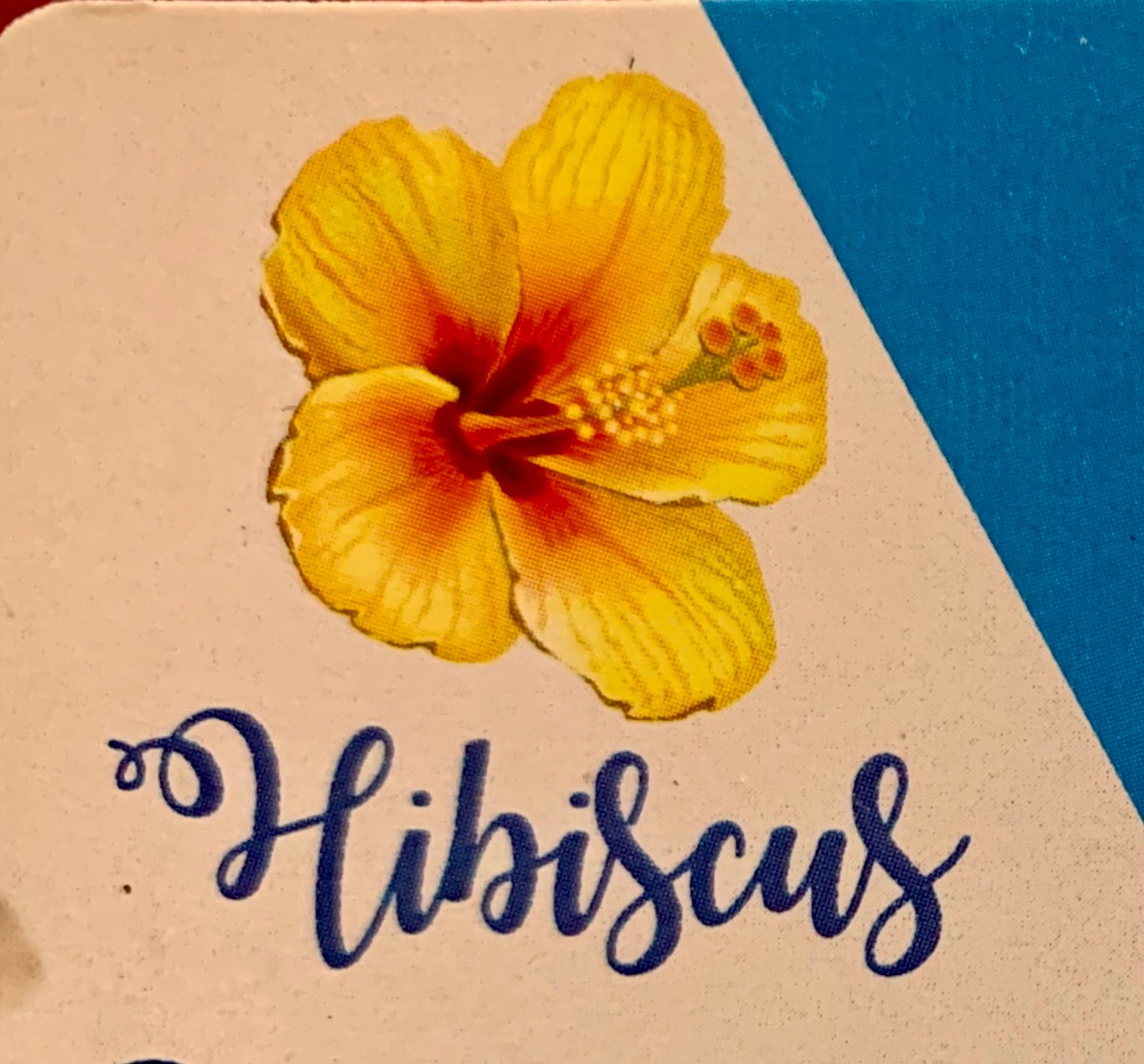Hibiscus Savons & Bougies artisanaux