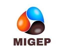 SARL MIGEP Mameri Industries