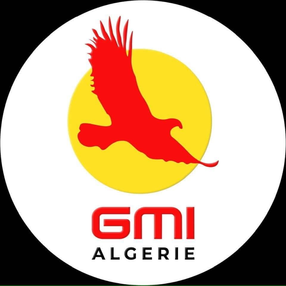  GMI ALGERIE Groupe Electrogéne 