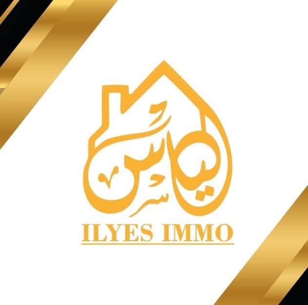 ILYES IMMOBILIER 