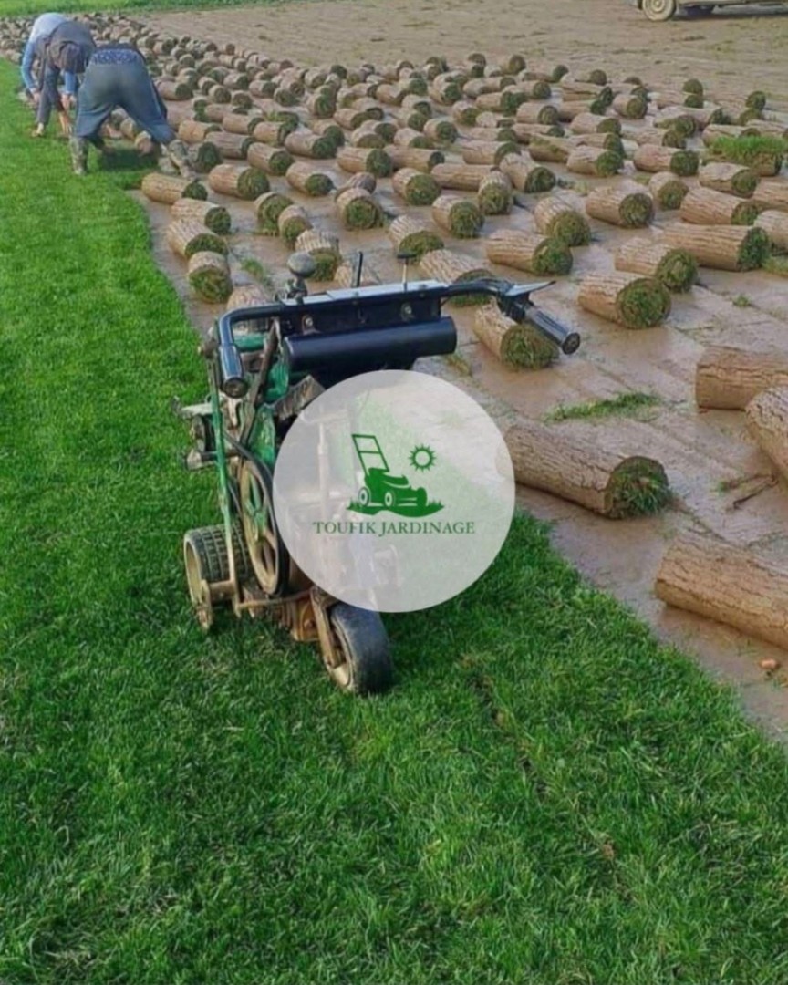 aménagement espace vert