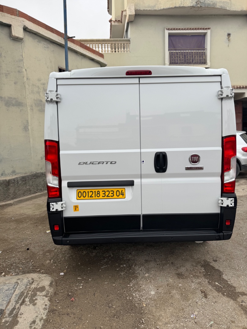 Caniche Fiat ducato 2023