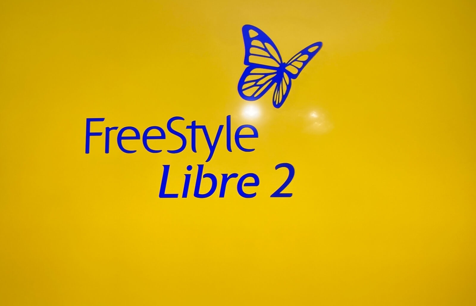 Freestyle libre 2 
