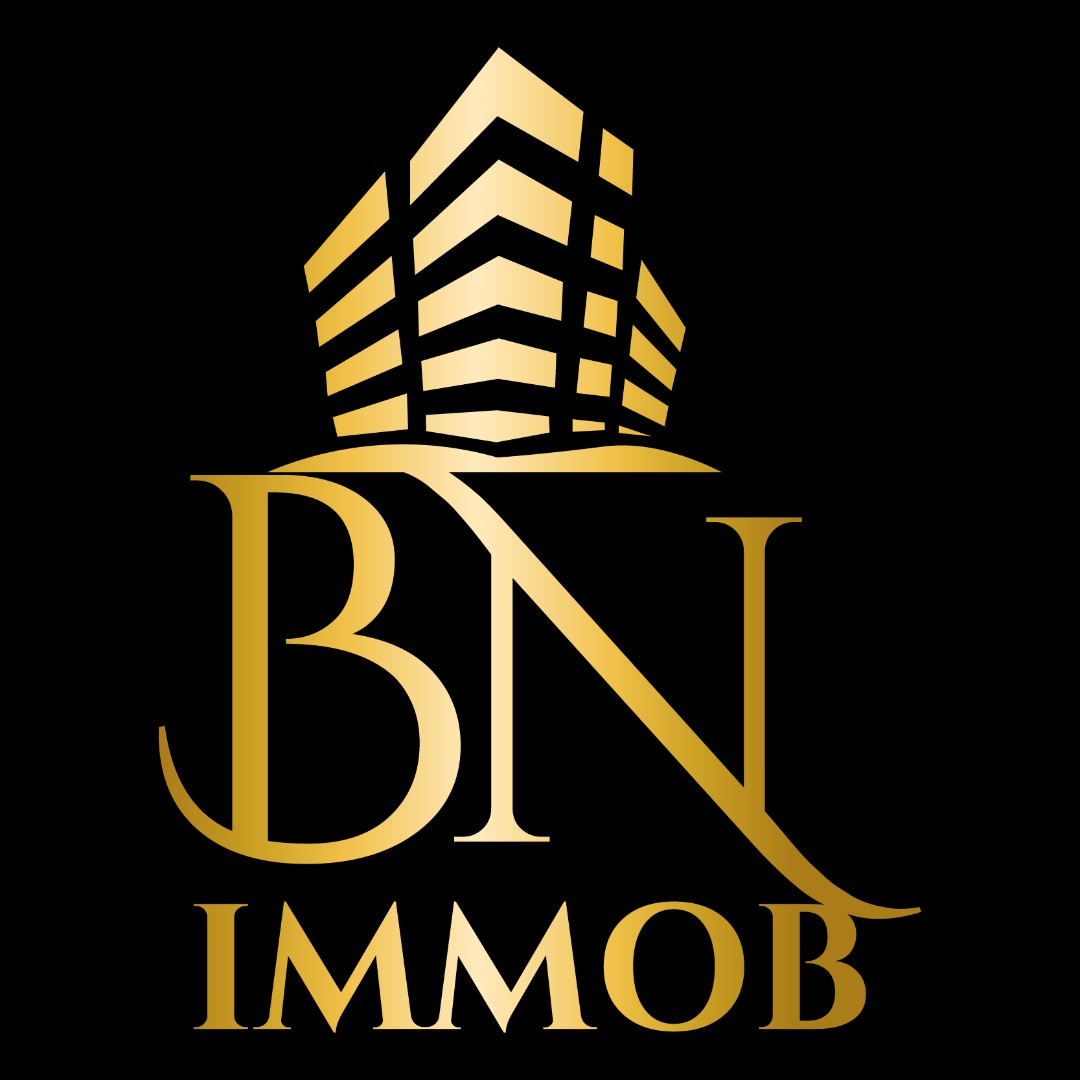 BN Immob Promotion Immobilière