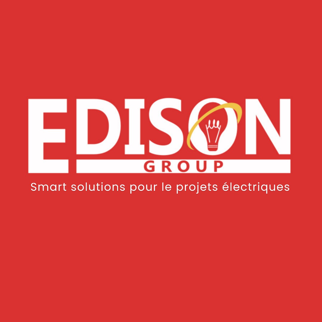 EDISON GROUP