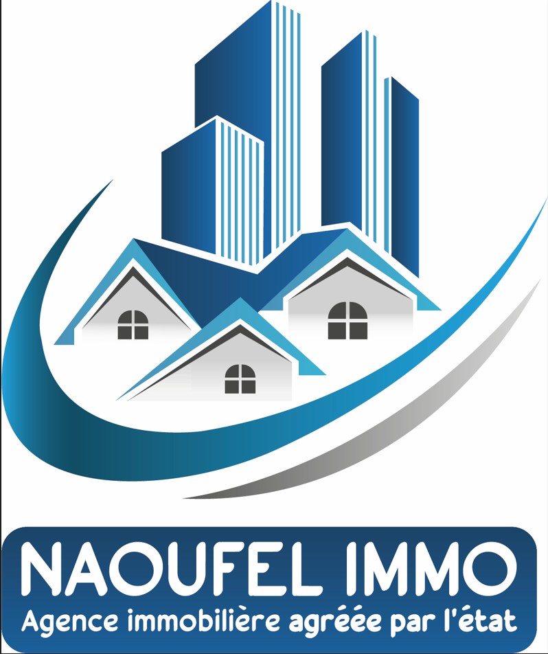 NAOUFEL IMMO 