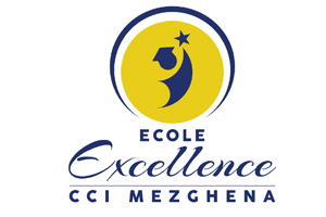 Ecole Excellence CCI Mezghena