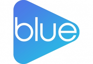 BLUE Informatique Systeme
