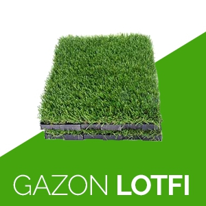 Gazon Lotfi