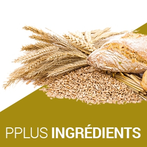 PPlus Ingredients