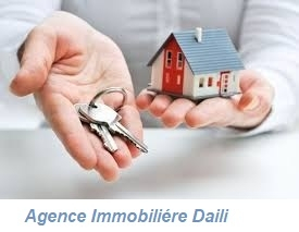 Agence immobilière Daili