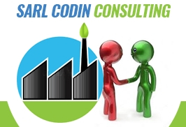 Sarl Codin Consulting