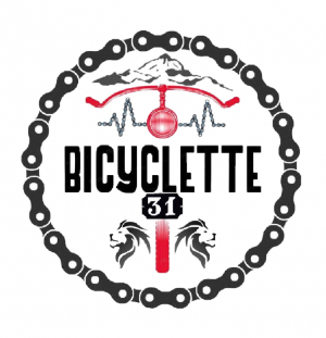Vélo électrique  E Bicyclette31 ( chargeurs et batteries )